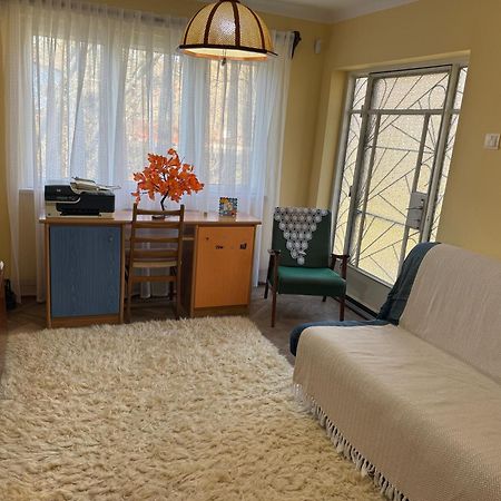 Casa Rurala Cu Livada Lavandra 캄피나 외부 사진