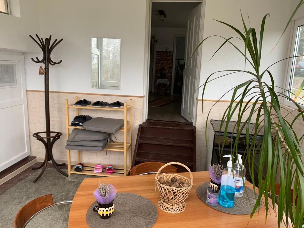 Casa Rurala Cu Livada Lavandra 캄피나 외부 사진