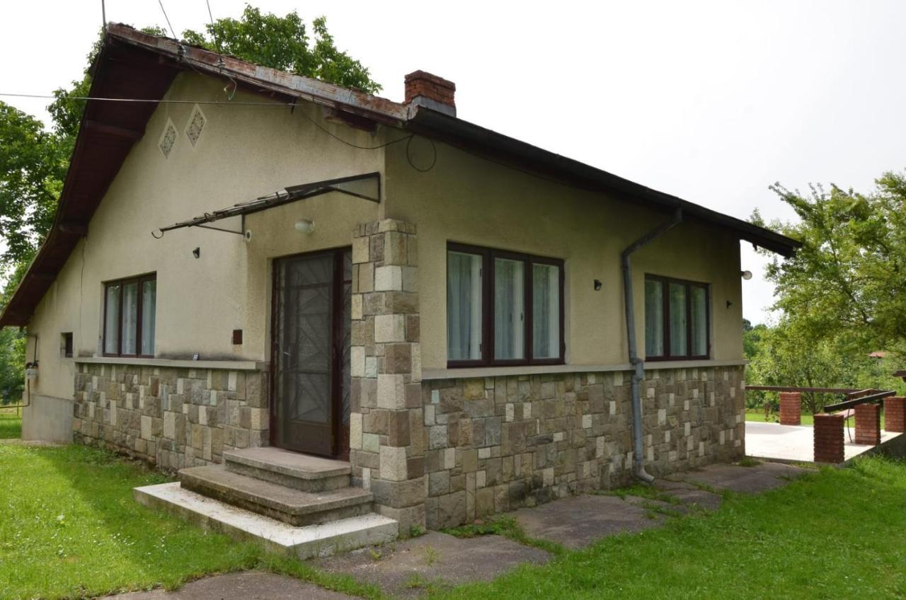 Casa Rurala Cu Livada Lavandra 캄피나 외부 사진