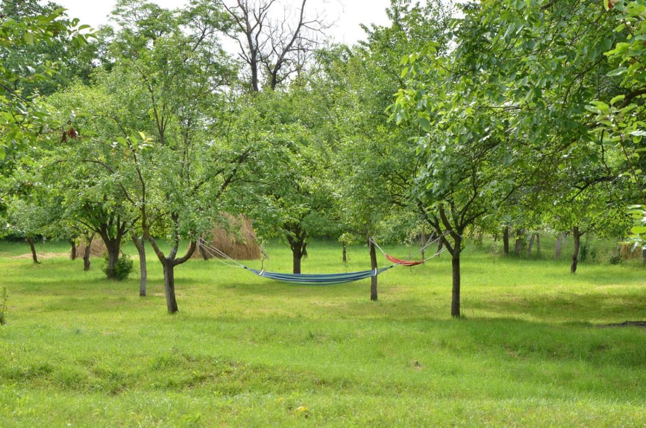 Casa Rurala Cu Livada Lavandra 캄피나 외부 사진