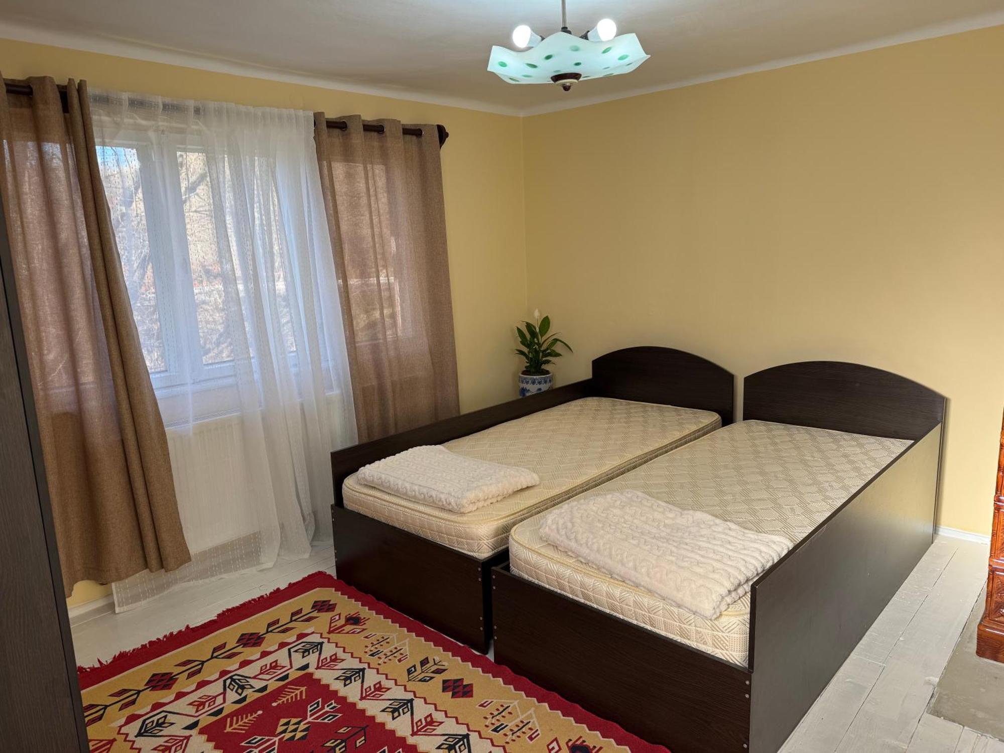 Casa Rurala Cu Livada Lavandra 캄피나 외부 사진